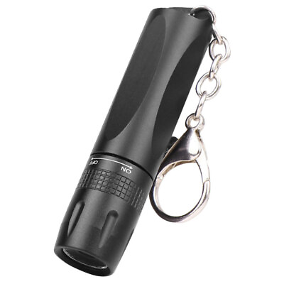 #ad Portable Key Chain Flash Light Keychain Flashlight LED Mini Torch Handheld $8.22