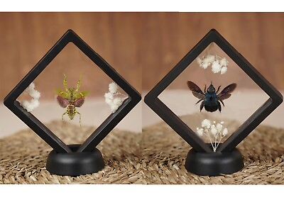 #ad 2Pcs 3D Floating Mantis amp; Bee Display Frame Stand Holder Case Box 3.5x3.5 inch $25.65