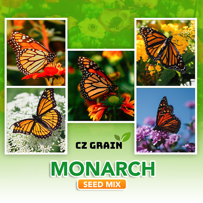 #ad Monarch Butterfly Garden Kit Raise Monarch Butterflies $9.98