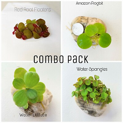 #ad Floating Plants Combo Pack Red Root Water Lettuce Amazon Frogbit Water Sponge $17.99
