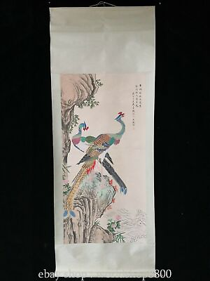 #ad #ad 81.2quot;Chinese rice paper Peacock landscape painting Hand drawing scroll picture EUR 280.00