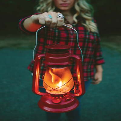 #ad Kerosene Hurricane Lantern 12quot; Outdoor Camping Emergency Lamp Oil Citronella $34.32