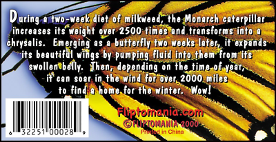 #ad Fliptomania Caterpillar to Monarch Butterfly Metamorphosis Flipbook $14.50