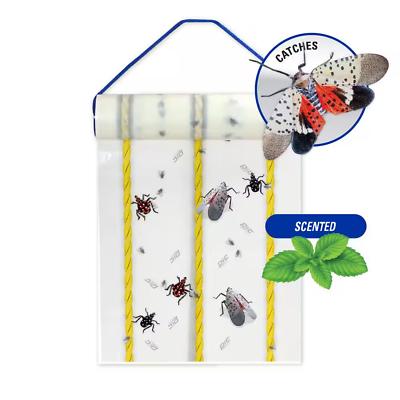 #ad #ad Spotted Lantern Fly Trap 20 Ft. Roll $16.11